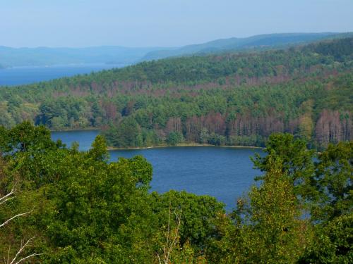 A serene landscape featuring a lake surrounded by lush green forests and distant hills under a clear blue sky.