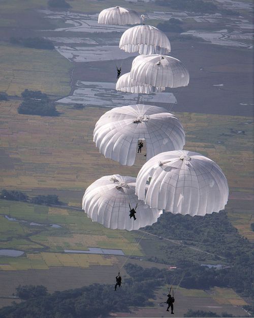 Aerial view of multiple parachutists descending with white parachutes over a green landscape.