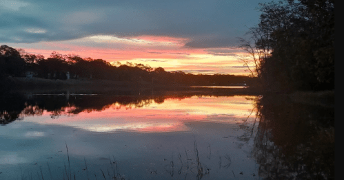 A serene lake at sunset, reflecting vibrant pink and orange hues in the water, surrounded by trees and a cloudy sky.