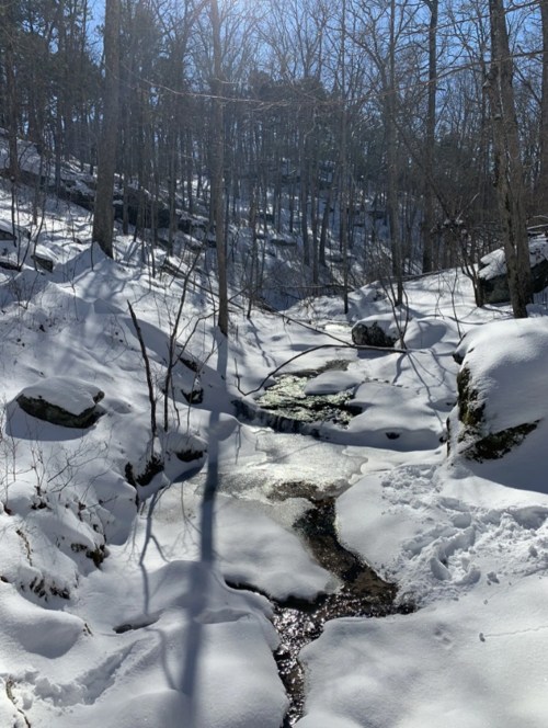 A snowy landscape with a small stream flowing through a forest, surrounded by trees and rocks under a clear blue sky.