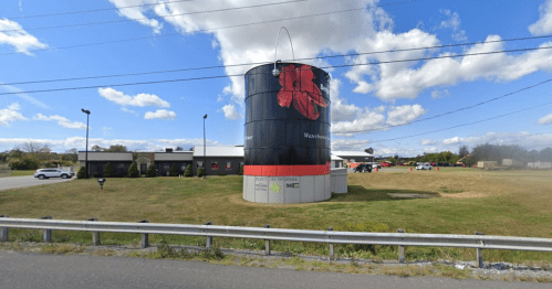 A large black water tower with a red flower design, surrounded by grass and buildings under a blue sky with clouds.