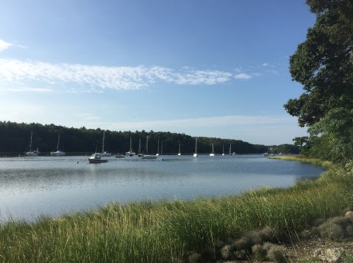 A serene river scene with sailboats anchored, surrounded by lush greenery and a clear blue sky.