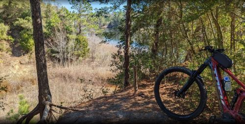 A mountain bike rests on a trail overlooking a serene river surrounded by lush greenery and trees.