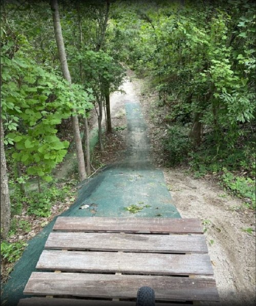 A view from the top of a wooden ramp leading down a forested trail surrounded by greenery.
