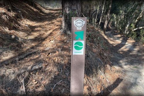 Trail sign indicating directions with green symbols for hiking and rabbit trails, surrounded by pine needles and trees.