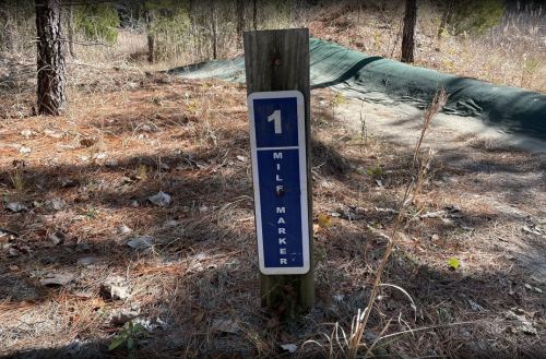 A blue and white mile marker sign labeled "1" stands on a dirt path surrounded by pine trees and dry grass.