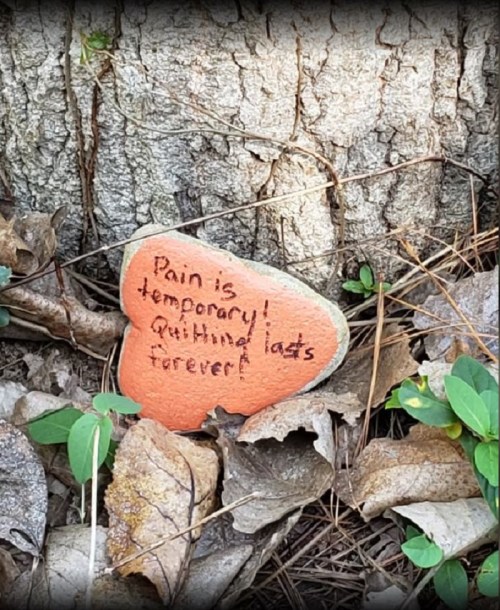 A painted rock with the message "Pain is temporary! Quitting lasts forever!" surrounded by leaves near a tree.