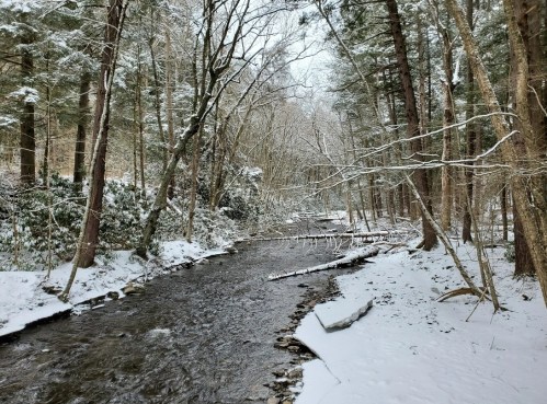 A snowy landscape featuring a flowing creek surrounded by trees and a blanket of fresh snow on the ground.