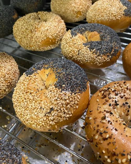 Freshly baked bagels topped with sesame and poppy seeds, cooling on a wire rack.