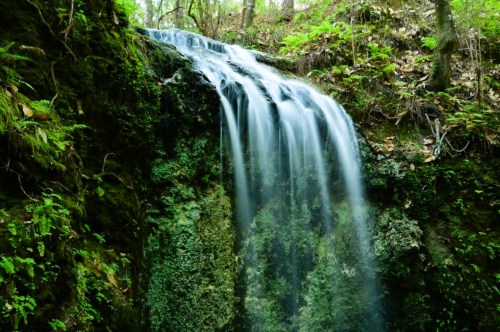 A serene waterfall cascading over moss-covered rocks, surrounded by lush green foliage in a tranquil forest setting.