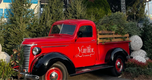 A vintage red truck with a wooden bed filled with greenery, parked among decorative white spheres and evergreen trees.
