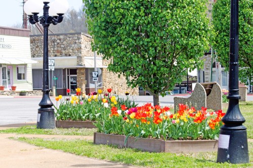 Colorful tulips bloom in a flower bed near a tree and a lamp post in a quaint town square.