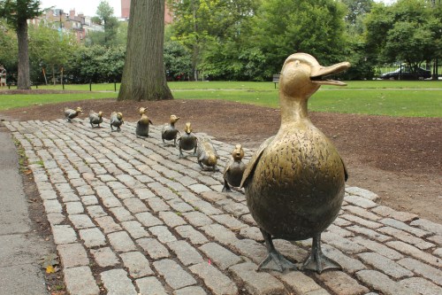 A bronze statue of a mother duck leading a line of ducklings on a cobblestone path in a park.