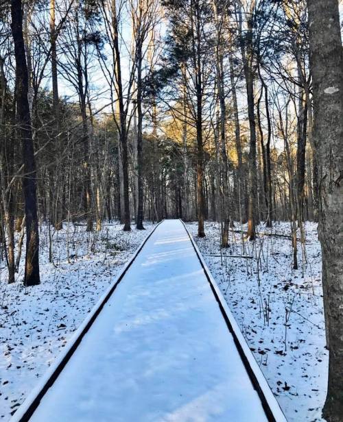 A snow-covered path stretches through a forest of bare trees, with sunlight filtering through the branches.
