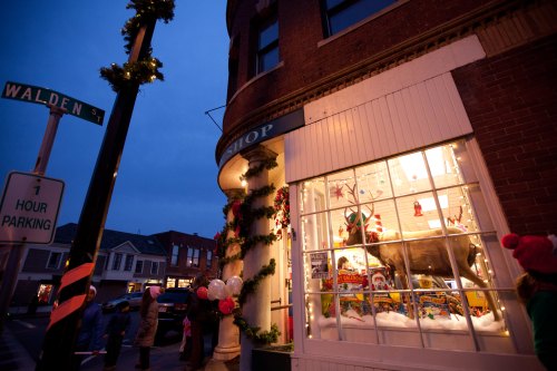 A festive shop window decorated for the holidays, with lights and a reindeer display, on a street corner at dusk.