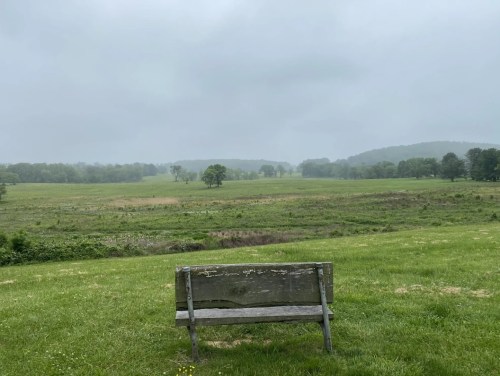 A weathered wooden bench overlooks a misty, green landscape with rolling hills and trees under a cloudy sky.
