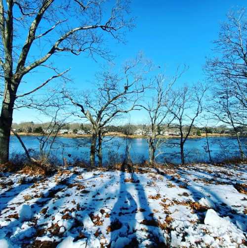 A snowy landscape with bare trees and a calm river under a clear blue sky. Shadows cast on the snow.