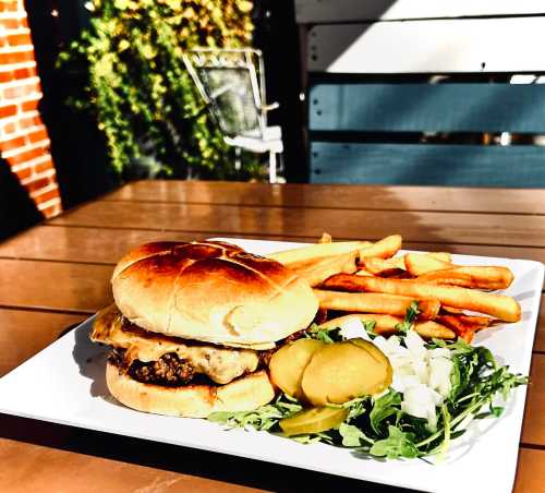 A juicy burger with melted cheese, served with fries, pickles, and fresh greens on a white plate.