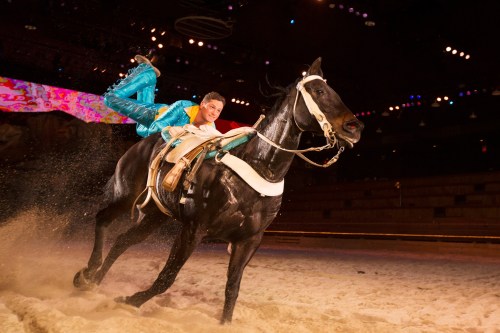 A performer in a blue outfit executes a trick while riding a black horse in a sandy arena.