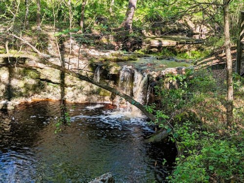 A serene forest scene featuring a small waterfall cascading into a dark pool, surrounded by lush greenery and trees.