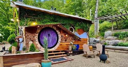 A whimsical, colorful tiny house with a round purple door, surrounded by greenery and outdoor seating.