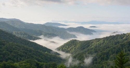 A scenic view of misty mountains with lush green forests and rolling hills under a cloudy sky.