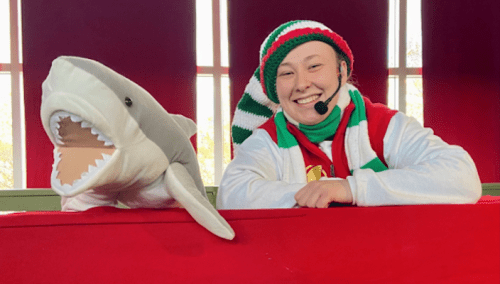A smiling person in a festive hat poses with a plush shark on a red table.