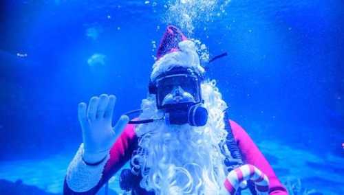 A scuba diver dressed as Santa Claus waves underwater, surrounded by blue water and bubbles.