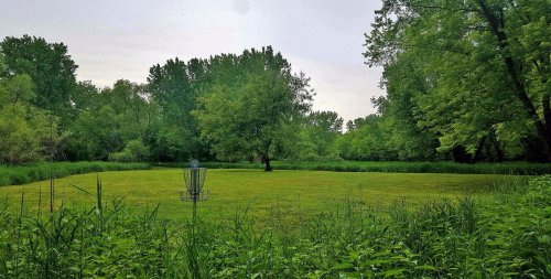 A grassy area surrounded by trees, featuring a disc golf basket in the foreground.
