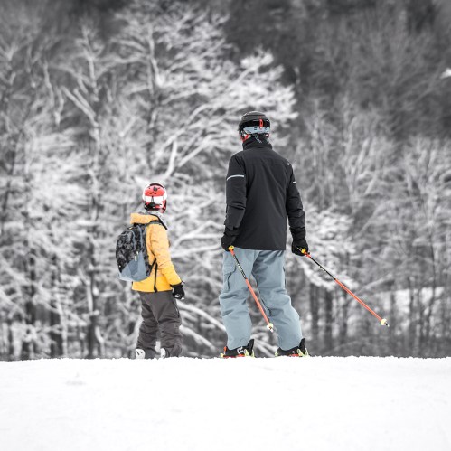 Two skiers on a snowy slope, surrounded by trees, preparing to descend the mountain.