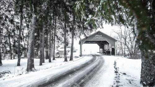 A snow-covered road leads to a rustic covered bridge surrounded by tall trees in a winter landscape.