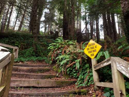 A wooden staircase leads up through lush greenery, with a caution sign reading "Use trail at your own risk."