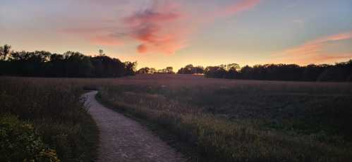 A winding path through a grassy field at sunset, with colorful clouds and trees in the background.