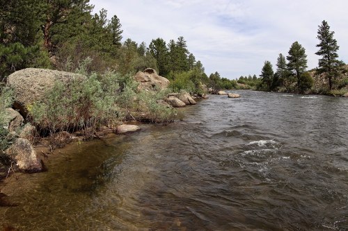 A serene river flows through a rocky landscape, surrounded by lush greenery and tall trees under a cloudy sky.