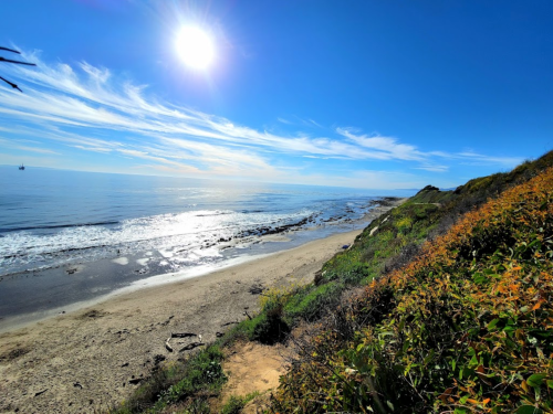 A serene beach scene with gentle waves, lush greenery, and a bright sun shining in a clear blue sky.