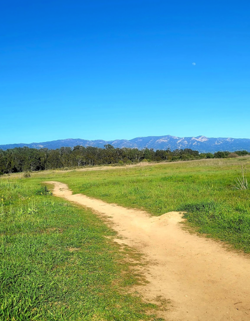 A winding dirt path through a green field, with mountains and a clear blue sky in the background.