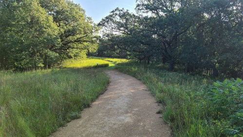 A winding dirt path through lush green grass and trees under a clear blue sky.