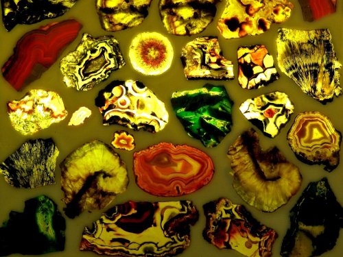 A vibrant collection of colorful agate slices, showcasing intricate patterns and textures against a light background.