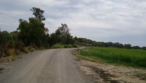 A winding dirt road surrounded by greenery and trees under a cloudy sky.
