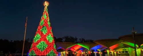 A brightly lit Christmas tree adorned with red and green lights, set against a night sky near a festive building.