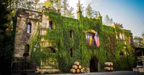 A stone building covered in lush green vines, featuring an American flag and wine barrels in front.