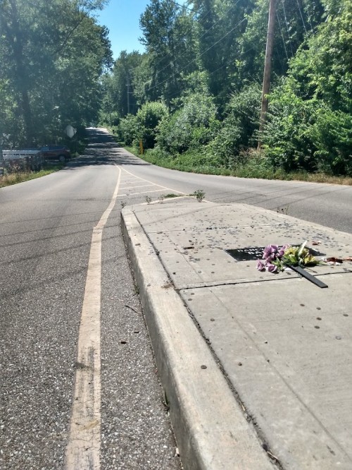 A roadside memorial with flowers on a concrete slab, surrounded by trees and a quiet road.