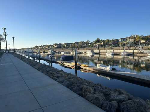 A calm marina with boats docked along a stone-lined walkway, surrounded by palm trees and clear blue skies.