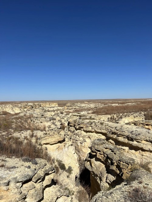 A vast landscape featuring rocky canyons and a clear blue sky, with sparse vegetation in the foreground.