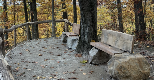Two wooden benches on a rocky overlook surrounded by autumn trees with fallen leaves.