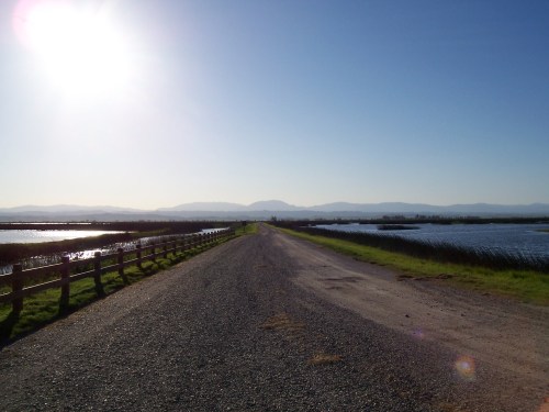 A gravel road stretches into the distance, flanked by water and mountains under a bright sun.