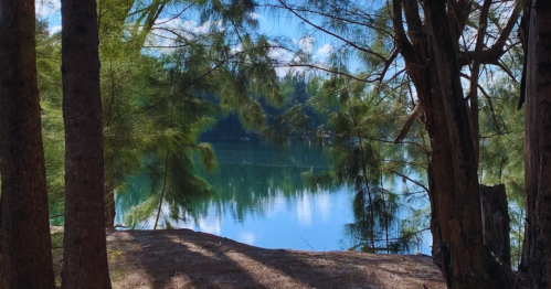A serene lake view framed by tall trees under a clear blue sky, reflecting the greenery on the water's surface.