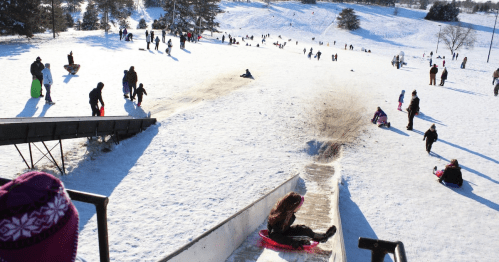 A snowy hill filled with people sledding, with a slide in the foreground and trees in the background.