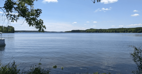 A serene lake view with calm waters, surrounded by green trees and a clear blue sky with fluffy clouds.
