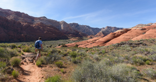 A person walks along a trail in a desert landscape with red rock formations and green shrubs under a clear blue sky.